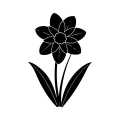 daffodil-vector-silhouette illustration