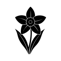 daffodil-vector-silhouette illustration
