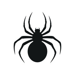 Detailed black spider silhouette with bold legs and round body, ideal for spooky themes, insect illustrations, Halloween graphics, or educational wildlife visuals.