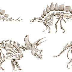 Seamless pattern with dinosaur skeletons. Traceratops and diplodocus. Prehistoric reptiles and animals. Bones and fossils of the Jurassic era. Watercolor illustration without background. Hand drawing © Alena Sid