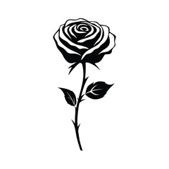 Rose minimal black color on isolated white background