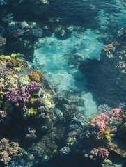 Fototapeta premium Vibrant Coral Reef for Underwater Scene.