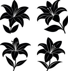 Easter-lily-vector-silhouette illustration