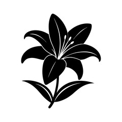 Easter-lily-vector-silhouette illustration