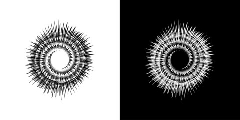Dynamic abstract spiral sound wave rhythm lines. Circular spiral sound wave rhythm of lines. Circular futuristic abstract lines, black and white background.