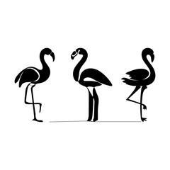 flamingo bird vector set .Flamingo Vector Images. Flamingo silhouette set vector design, bird illustration and icon