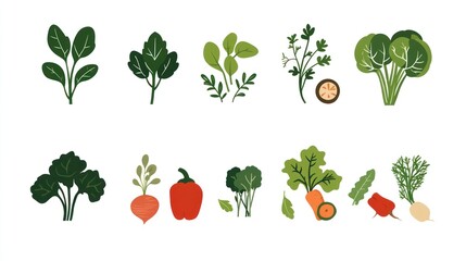 Vibrant Vegetables and Herbs Collection: A Colorful Array of Fresh Produce