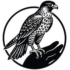 Falcon Perched on Hand Vector Illustration | Bird of Prey Graphic in Circle | Black and White Falconry Design