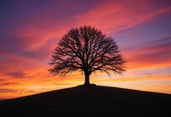 Selbstklebende Fototapeten Majestic tree silhouette against vibrant sunset hues in serene landscape © M. Hieber