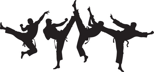 Obraz premium Flying Kick silhouette