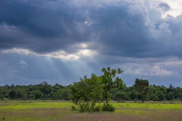 Nature landscape under dramatic clouds scenic viewpoint serene environment captivating imagery for nature lovers