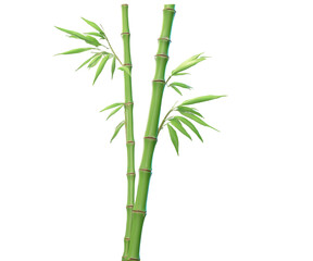 Fototapeta premium Serene Bamboo Illustration, A Minimalist Ink-Style Depiction of Tranquility and Natural Beauty, Ideal for Zen Gardens, Meditation Spaces, and Asian-Inspired Designs