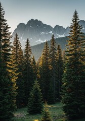 Obraz premium Golden Hour Sunset Over Majestic Mountain Range and Pine Forest