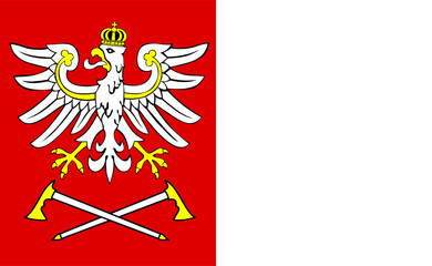 Flag of Czarny Dunajec, Flag background, EPS10. Vector illustration