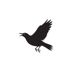 bird silhouette isolated on white