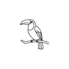 Fototapeta premium toucan bird cartoon