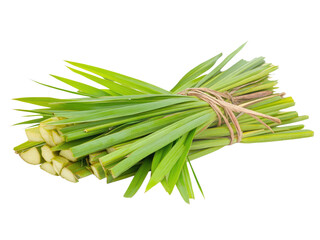 Fresh Pandan Leaves Bundle Tied with Twine  Aromatic Culinary Herb