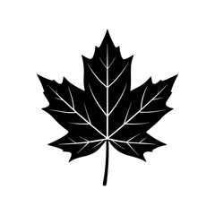 Fototapeta premium Maple Leaf Silhouette vector illustration