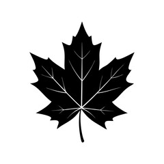 Fototapeta premium Maple Leaf Silhouette vector illustration