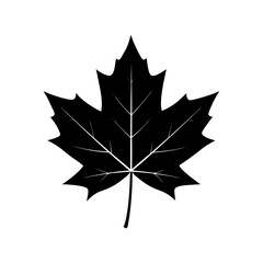 Fototapeta premium Maple Leaf Silhouette vector illustration