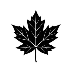 Maple Leaf Silhouette  vector illustration