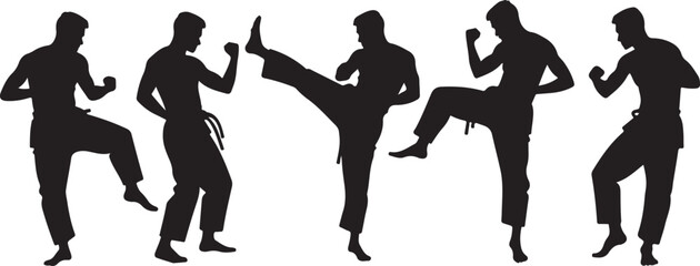  Flying Kick silhouette