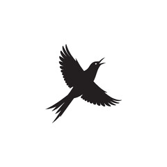 Silhouette of a bird in flight with wings