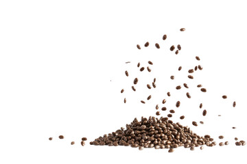 Chia Seeds Falling In Small C... on a transparent background