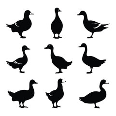 Ducks silhouette set clipart on a white background