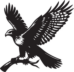 Obraz premium eagle vector silhouette 