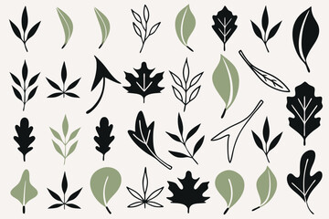 leaf vector icon set nature green eco plant tree organic design illustration graphic environment logo template flat symbol element sign botanical natural ecology art herbal foliage floral leaves i