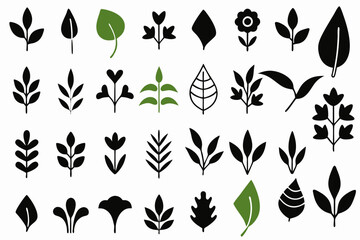 leaf vector icon set nature green eco plant tree organic design illustration graphic environment logo template flat symbol element sign botanical natural ecology art herbal foliage floral leaves i
