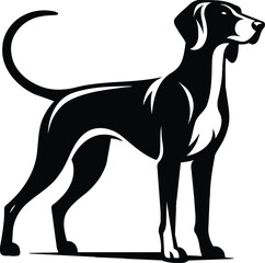 Hound Silhouette Standing Alert with Elegance and Strength