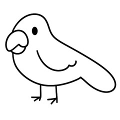 bird vector illustration