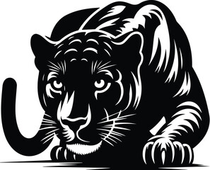 Jaguar prowling stealthily in black and white silhouette