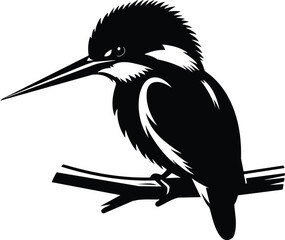 Kingfisher perched on branch vector silhouette