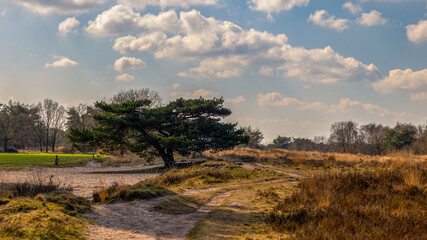De Regte Heide - Holland