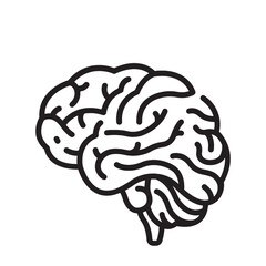 human brain vector illustration
