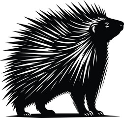 Alert Porcupine Silhouette with Raised Quills in Defensive Posture