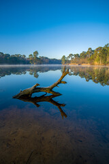 Van Esschenven - Holland