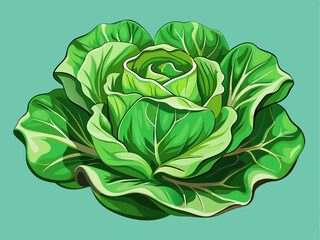 Obraz premium A professional vector of crisp lettuce with organic shading and curly edges, placed on a solid mint green background