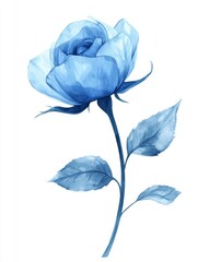 Delicate Blue Rose Watercolor Blossom