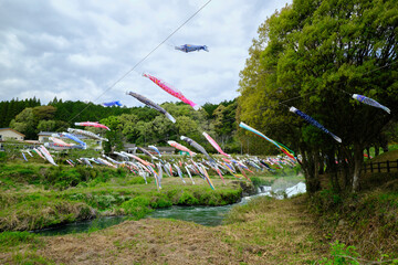 湯ノ尾滝を泳ぐさまざまな鯉のぼり