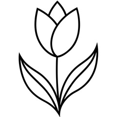 Tulip with 2 leaf line art vector illustration on white background