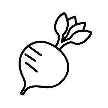 recommend clip art: Vector illustration of fresh beet vegetable outline drawing healthy food ingredient icon design 90