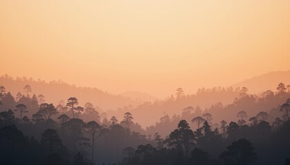 Captivating sunrise over misty forest landscape mountain region nature photography tranquil environment wide-angle view serenity and beauty