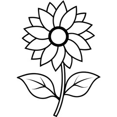 sunflower with 2 leaf line art vector illustration on white background