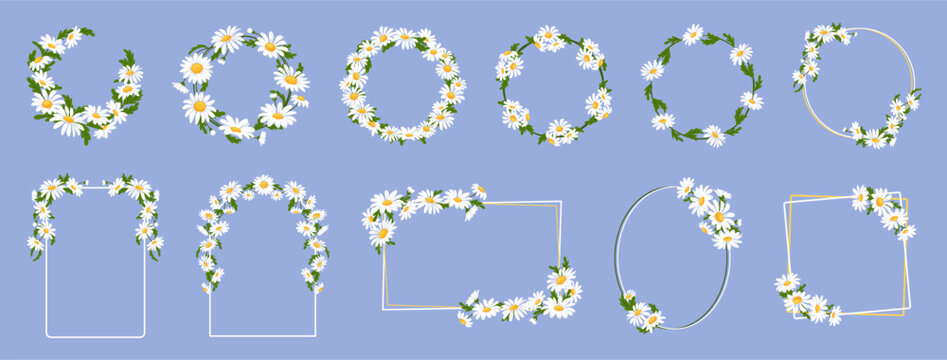 Daisy floral frames. Chamomile wreaths and borders with garden daisies. Circle, oval, rectangle and arch frame decorated with daisy flowers. Wedding invitation or greeting card templates vector set.