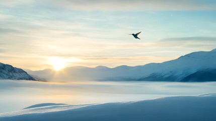 Obraz premium Captivating image of a celestial hummingbird gracefully soaring through an aurora lit night sky creating a mesmerizing otherworldly scene of natural beauty and fantasy