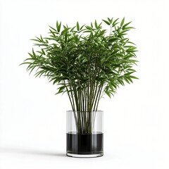 Obraz premium Lush Green Bamboo Plant in a Modern Glass Vase Perfect for Home Decor and Interior Design Projects